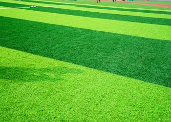pngtree-football-in-the-morning-on-the-turf-football-field-image_848349